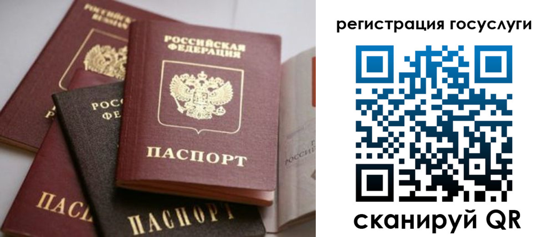 пропишу в квартире в Таганроге